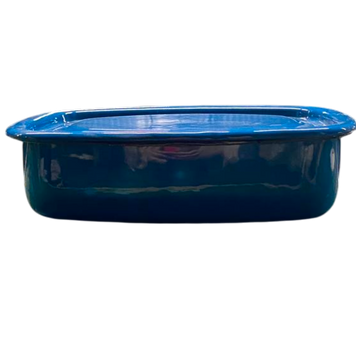 Tray with lid 1.5 l "Aquamarine"