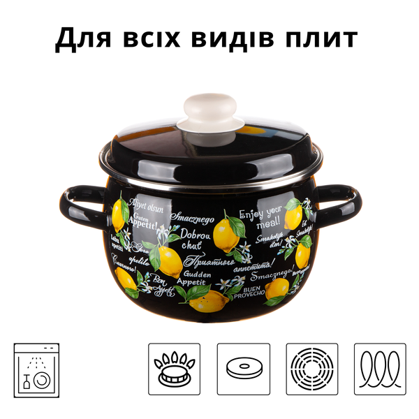 Кастрюля сферическая эмалированная 3,5л с н/ж ободком "Фрэш-лимон (черная)" I19135/4чфлим фото