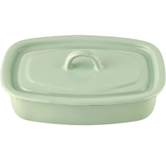 Tray 1.0 L with hollow handle on the lid "Mint Cool"